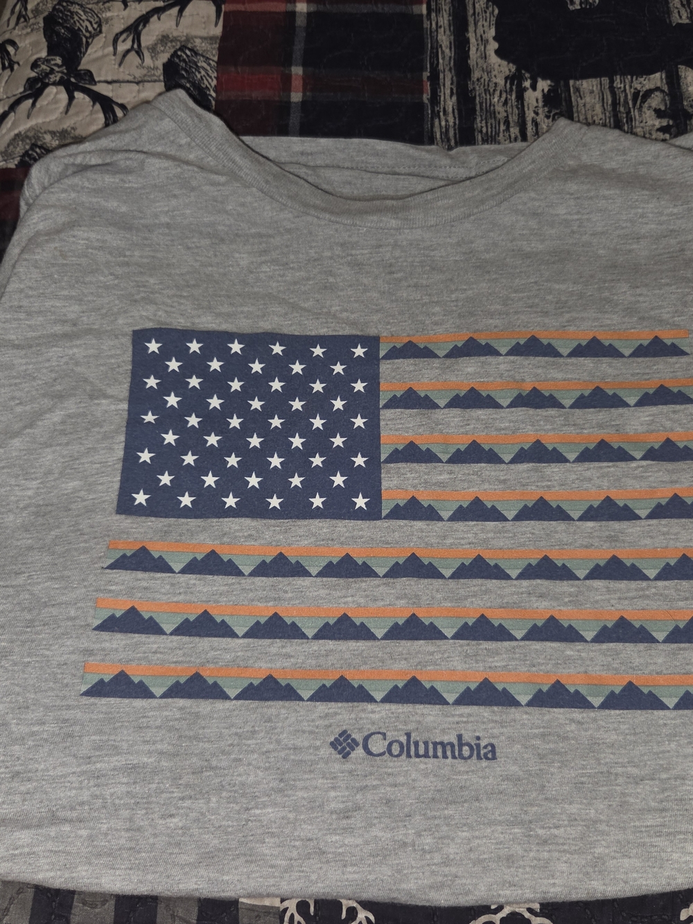 Columbia Gray Graphic Flag T-Shirt